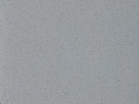 Altro Aquarius - Walrus