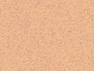 Spring Beige