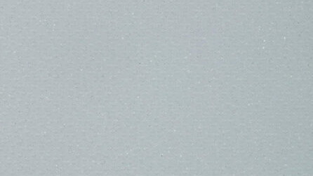 Gull