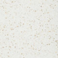 Altro Walkway 20 – Swan