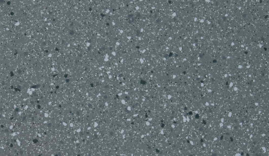 Altro Walkway 20 - Whale