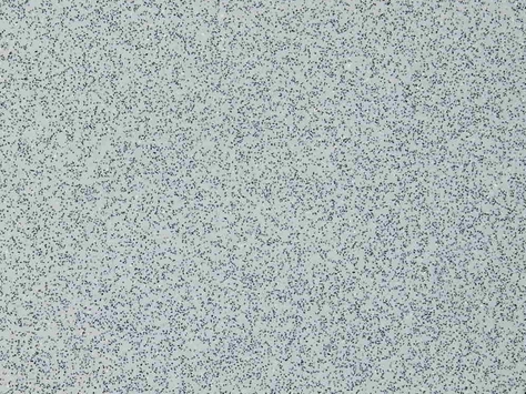 Altro Xpresslay - Cloud