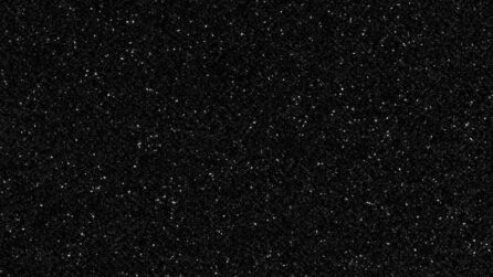 Noir 7801