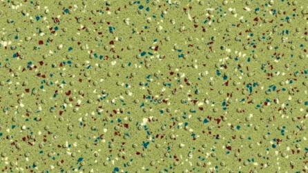 Seagrass 7513