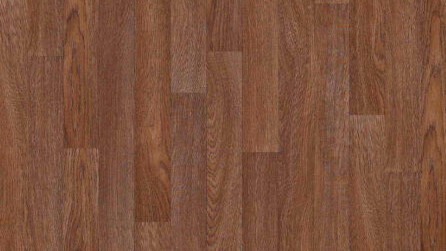 Wood Esterel Frejus 1713