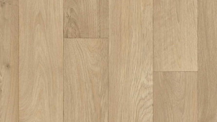 Camargue Blond Oak 555
