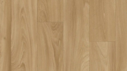 Camargue Golden Oak 558