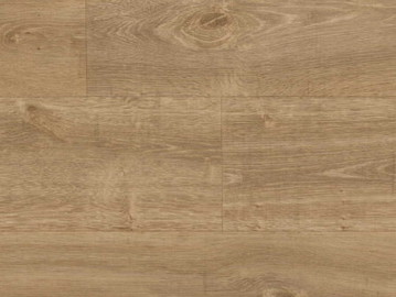 English Oak 9823