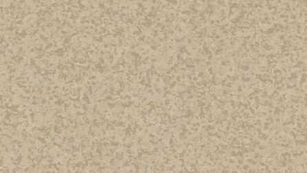 Dark Warm Beige 0801