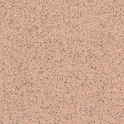 Tarkett Safetred Universal – Jupiter Beige