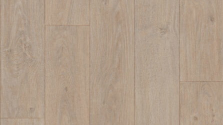 Elegant Oak