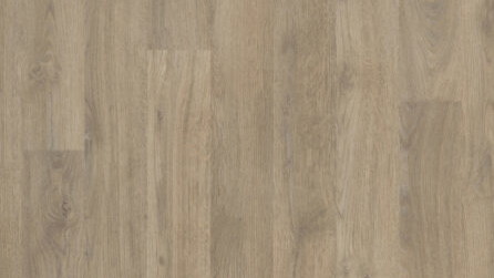 Whitewash Oak