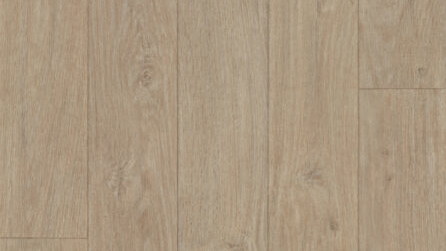Classic Oak