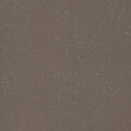 Forbo Surestep Star – Umber