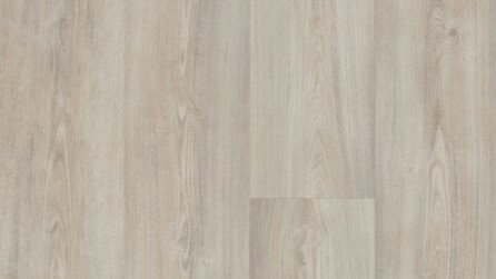 White Chestnut