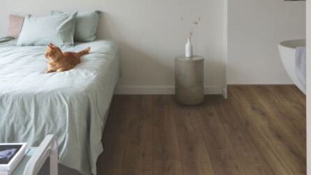 Warm Brown Oak CLM5789
