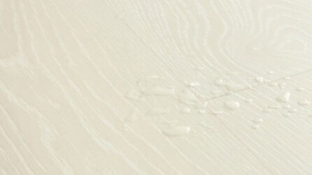 Frosty White Oak CLM5798