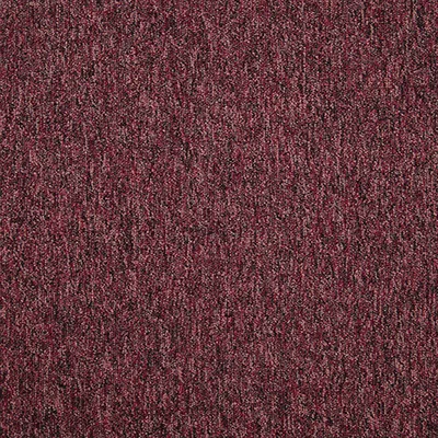 Gradus Latour 2 - Cheviot 01043