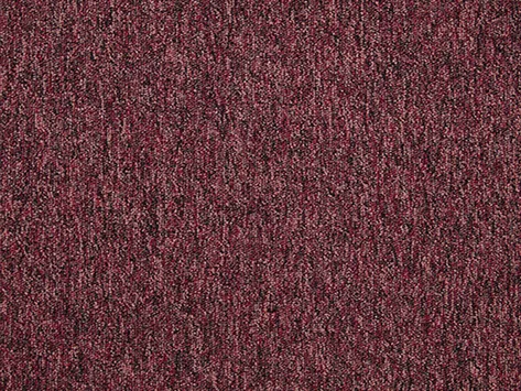 Gradus Latour 2 - Cheviot 01043