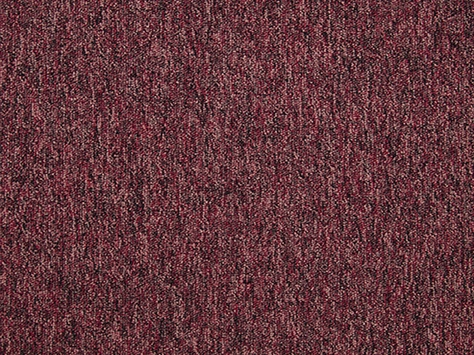 Gradus Latour 2 - Cheviot 01043