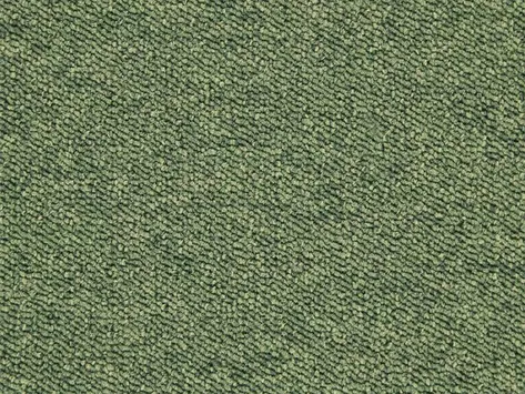 JHS Sprint - 141 Parakeet