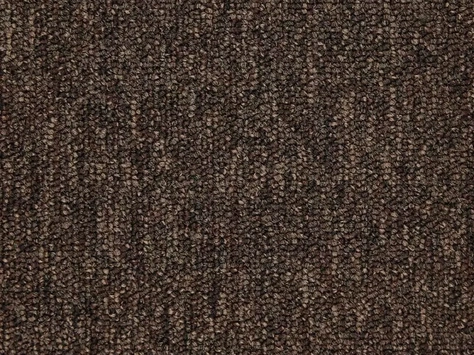 JHS Triumph Loop 612 Chocolate