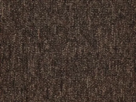 JHS Triumph Loop 612 Chocolate