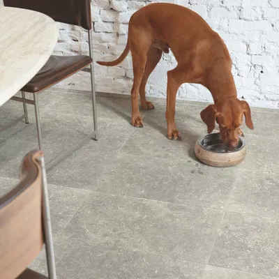 Quick-Step Muse - Dusky Bluestone MUS5485