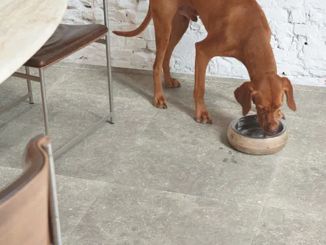 Quick-Step Muse - Dusky Bluestone MUS5485