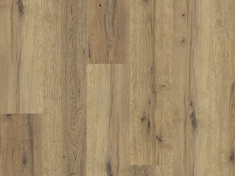 Polyflor Expona Commercial - Everglade Oak 4101