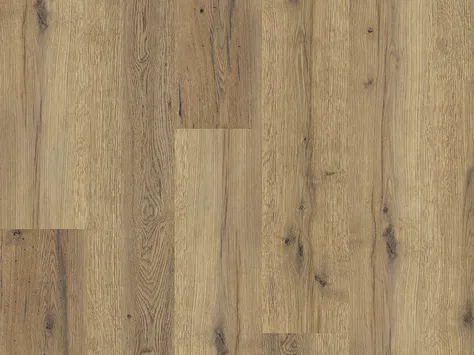 Polyflor Expona Commercial - Everglade Oak 4101