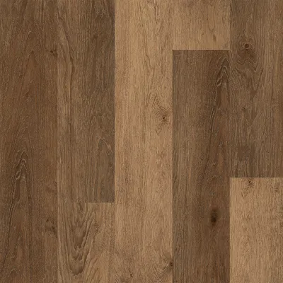 Polyflor Expona Commercial - Provence Oak 4113