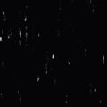 Polyflor Standard XL – Black Panther 8640
