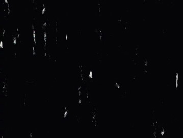 Black Panther 8640