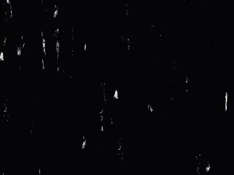 Polyflor Standard XL - Black Panther 8640