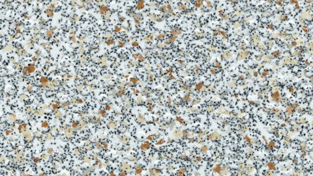 Bisque H4860