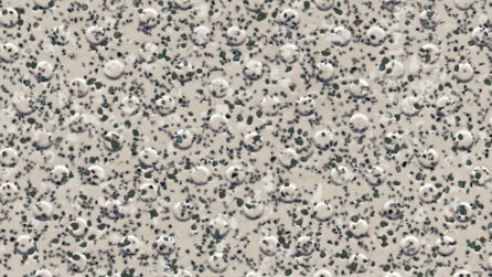 Oystershell H4800