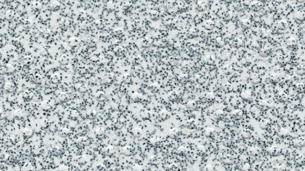 White Stone H4930