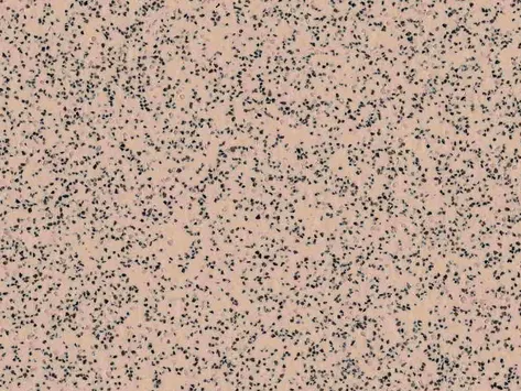 Polysafe Standard - Elmwood 4520