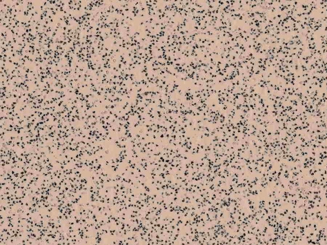 Polysafe Standard - Elmwood 4520