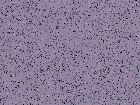 Polysafe Standard - Lilac Blue 4580