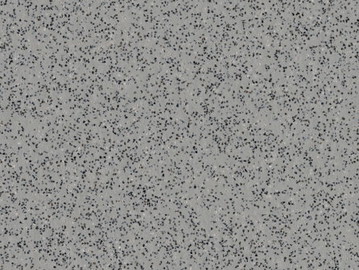 Silver Birch 4020