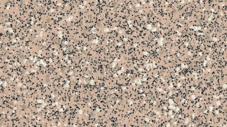 Oystershell 4800