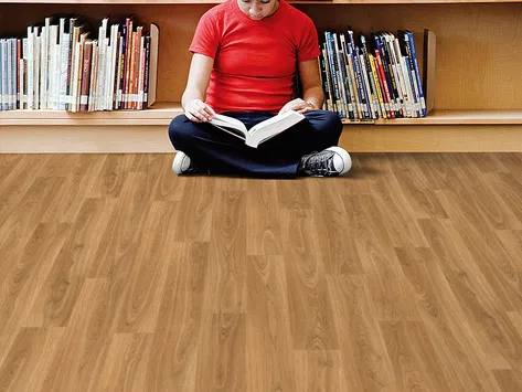 Polysafe Wood Fx Acoustix - European Oak 3342