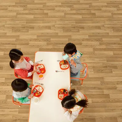 Polysafe Wood FX Acoustix - Rustic Oak 3332