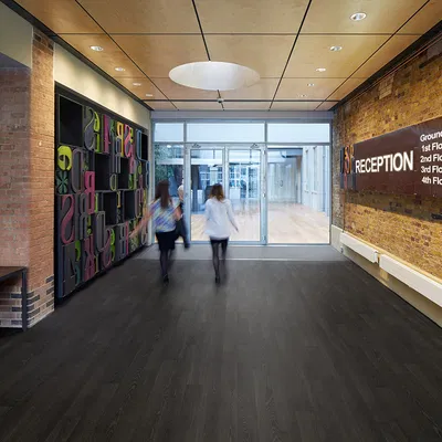 Polysafe Wood FX - Nero Oak 3371