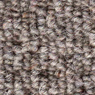 Vanguard Auckland – Hive Ash