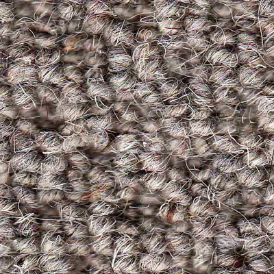 Vanguard Auckland - Hive Ash