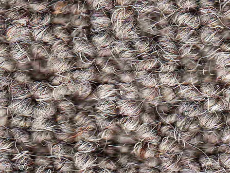 Vanguard Auckland - Hive Ash