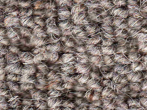 Vanguard Auckland - Hive Ash